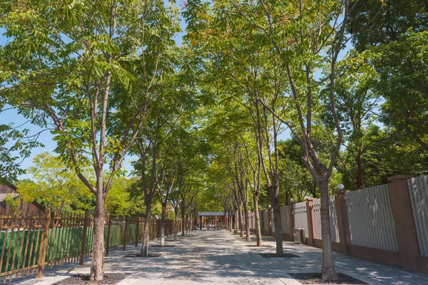 Сад Хубей Ухань Експо Парк Влітку Китай — стокове фото