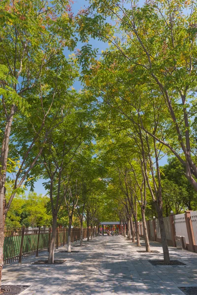 Hubei Wuhan Garden Expo Park Summer Scenery China — Stock Photo, Image