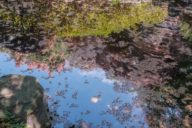 Hubei Wuhan Bahçe Fuar Parkı Yaz manzarası, Çin