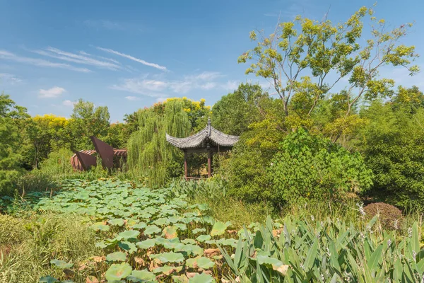 Hubei Wuhan Garden Expo Park Scenario Estivo Cina — Foto Stock