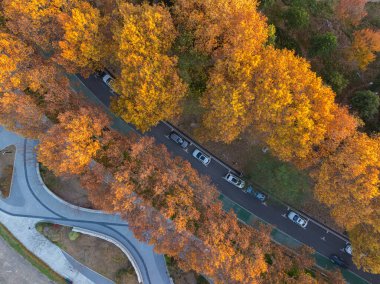 Wuhan, Hubei, Çin sonbahar manzarası