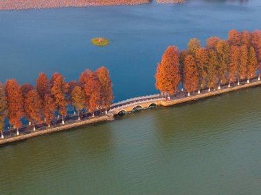 Doğu Gölü Sahnesi Sonbahar Sahnesi, Wuhan, Hubei, Çin