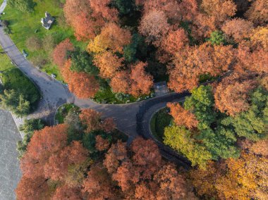 Doğu Gölü Sahnesi Sonbahar Sahnesi, Wuhan, Hubei, Çin