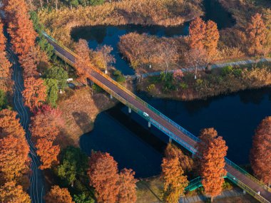 Doğu Gölü Sahnesi Sonbahar Sahnesi, Wuhan, Hubei, Çin