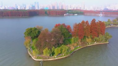 Doğu Gölü Sahnesi Sonbahar Sahnesi, Wuhan, Hubei, Çin