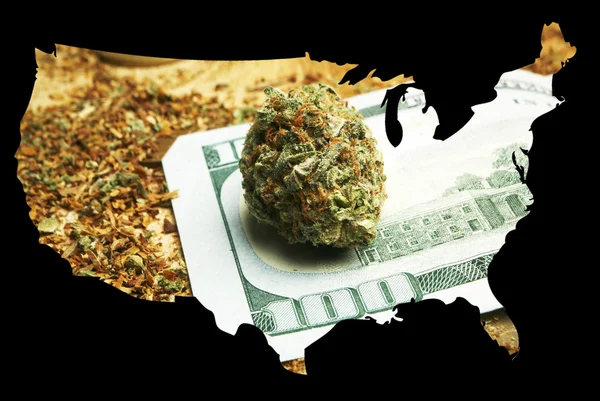 Marihuana in Amerika — Stockfoto