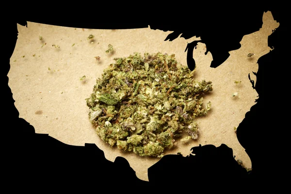 Marijuana in America — Foto Stock