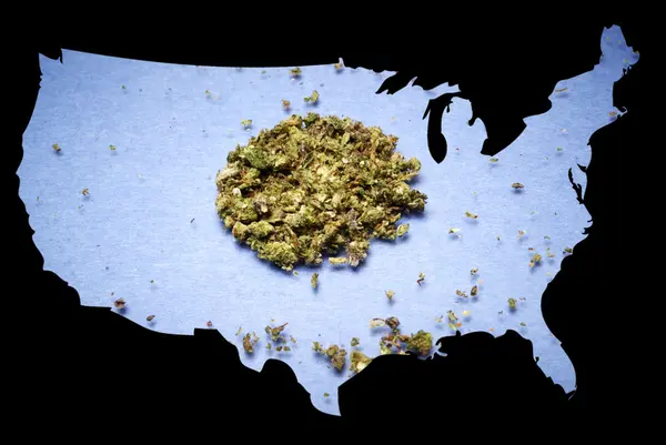 Marihuana w Ameryce — Zdjęcie stockowe