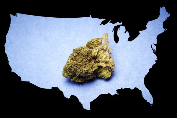 Marihuana v Americe — Stock fotografie