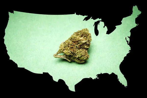 Marijuana in America — Foto Stock