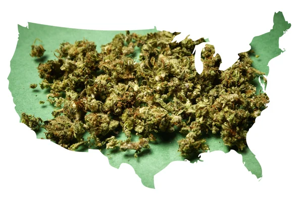 La marijuana en Amérique — Photo