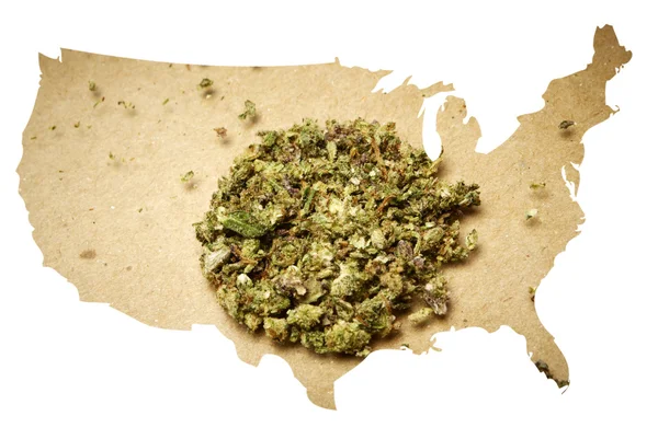 Marihuana v Americe — Stock fotografie