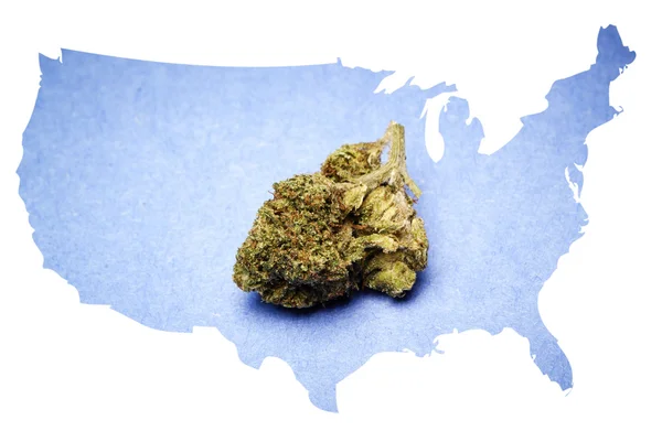 Marijuana in America — Foto Stock