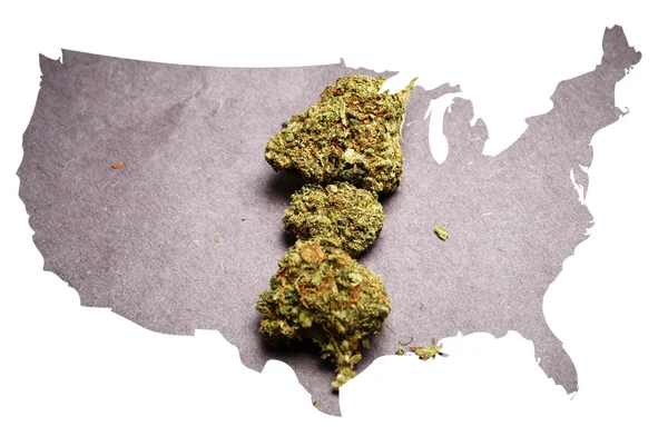 La marijuana en Amérique — Photo