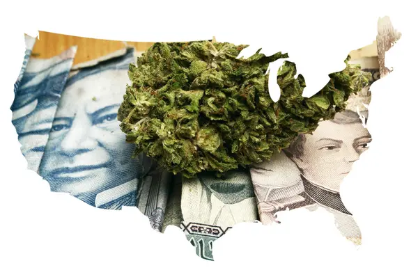 Marihuana en América — Foto de Stock