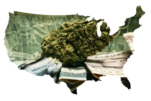 Marijuana i USA — Stockfoto