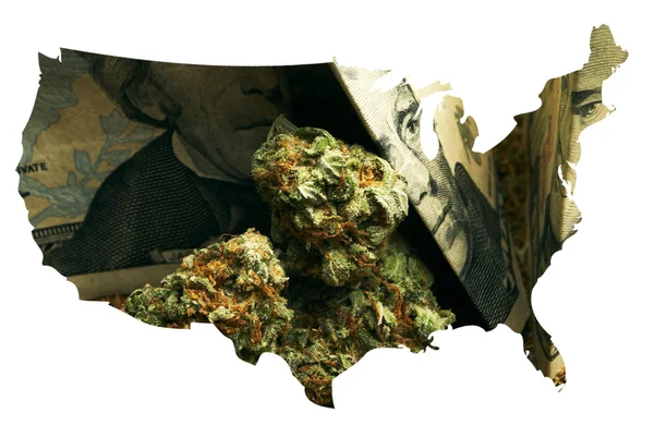 Marijuana in America — Foto Stock