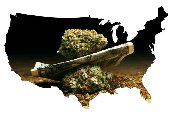 Marijuana in America — Foto Stock