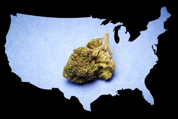 Marijuana legale in America — Foto Stock