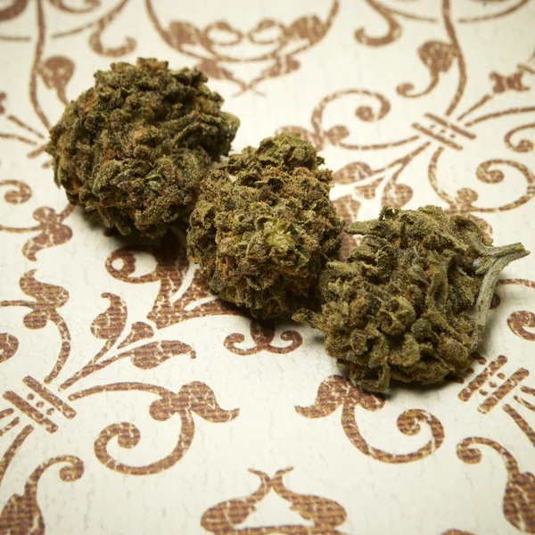 Marihuana y cogollos de cannabis —  Fotos de Stock