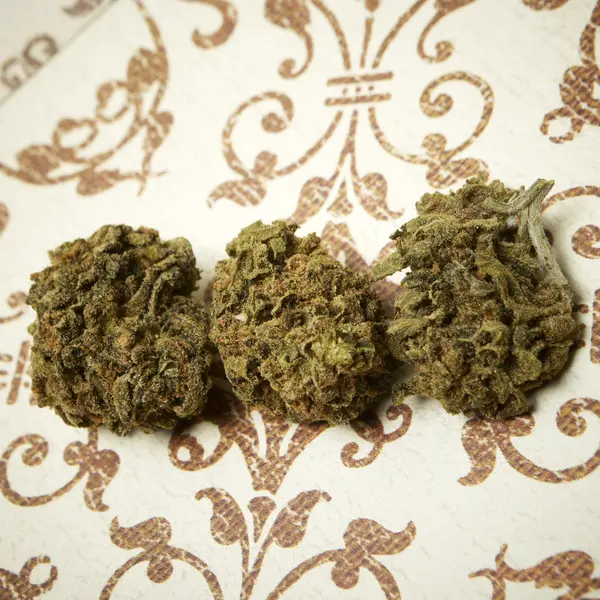 Marijuana och cannabisknoppar — Stockfoto