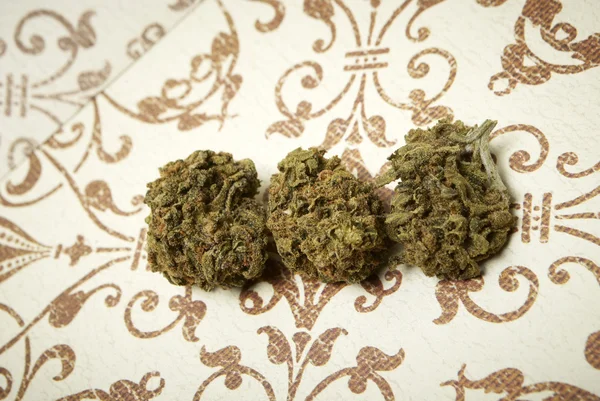 Marijuana and Cannabis Buds — Stock Photo, Image