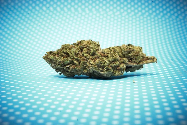 Marihuana y cogollos de cannabis —  Fotos de Stock