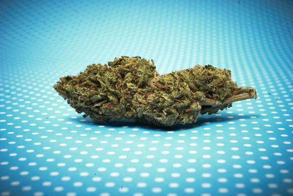 Marijuana och cannabisknoppar — Stockfoto