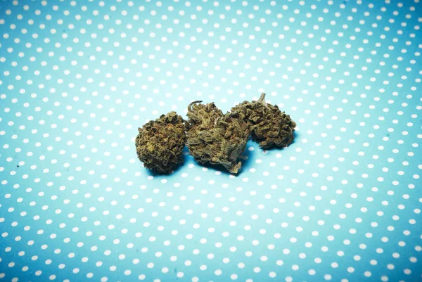 Marijuana and  Cannabis Buds — Stock Photo, Image
