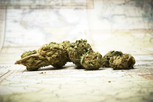 Marijuana e botões de cannabis — Fotografia de Stock