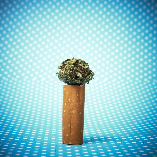 Marihuana und Cannabisblüten — Stockfoto