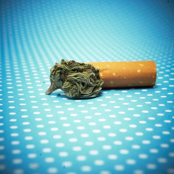 Μαριχουάνα και της κάνναβης μπουμπούκια — Φωτογραφία Αρχείου