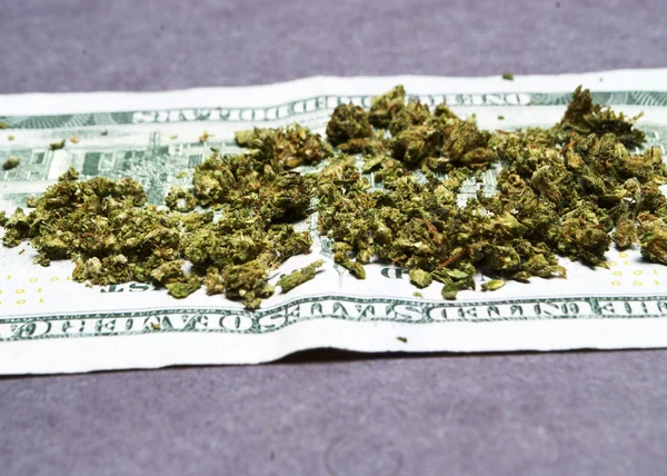 Marihuana-Cannabis of onkruid — Stockfoto