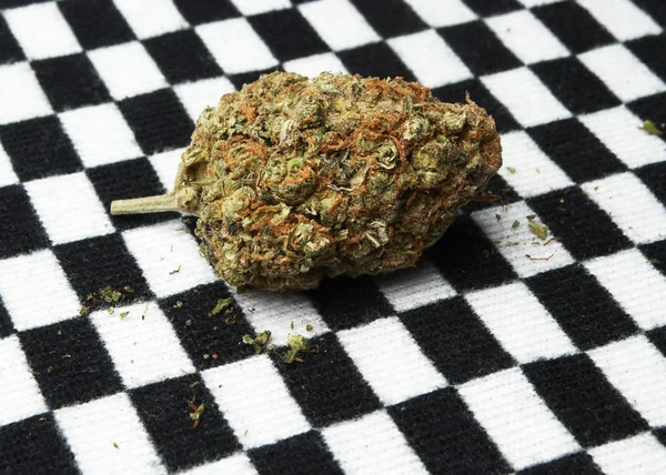 Cannabis de maconha ou erva daninha — Fotografia de Stock