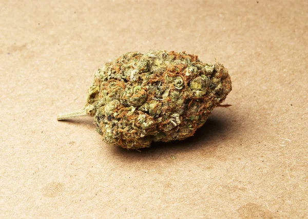Cannabis de maconha ou erva daninha — Fotografia de Stock
