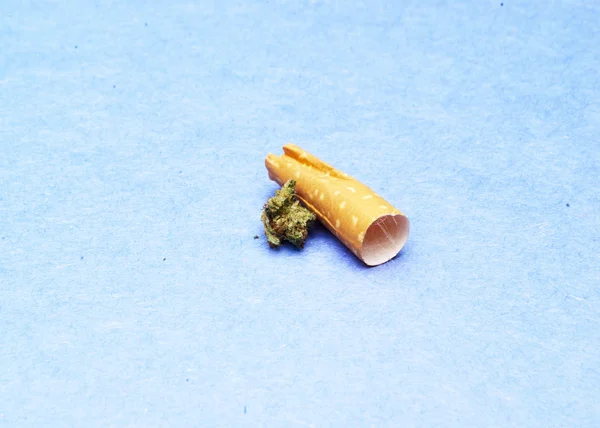 Konopí marihuana nebo plevel — Stock fotografie