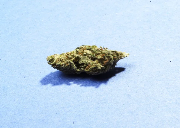 Marihuána-Cannabis- vagy gyomnövény — Stock Fotó