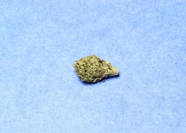 Konopí marihuana nebo plevel — Stock fotografie