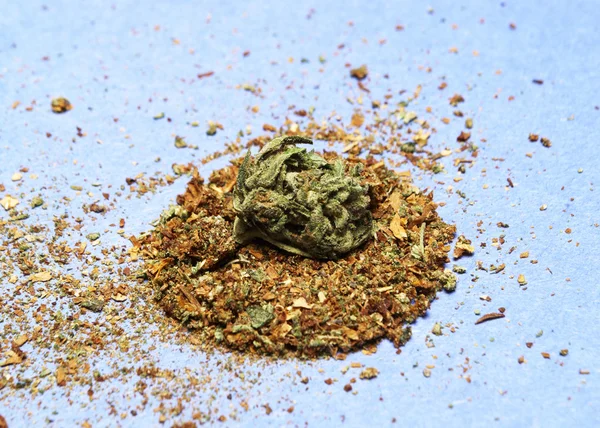 Cannabis o erba di marijuana — Foto Stock