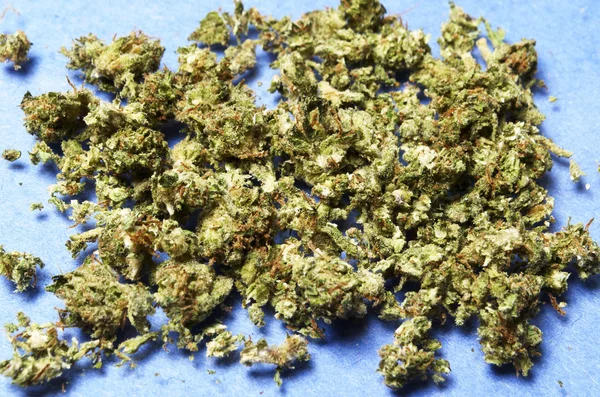 Marihuana Pot onkruid — Stockfoto