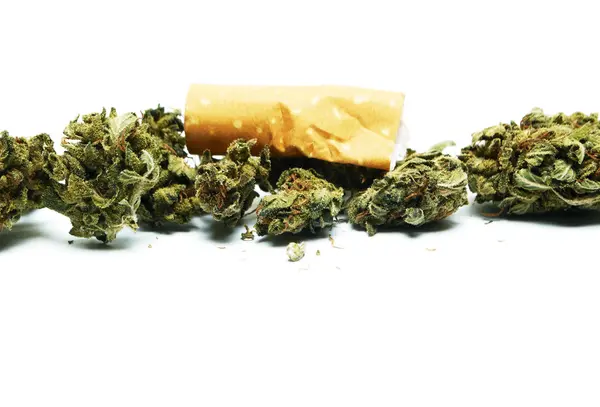 Marihuana en Cannabis Bud — Stockfoto
