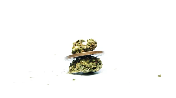 Marijuana och Cannabis Bud — Stockfoto