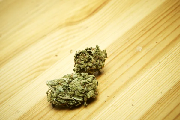 Marijuana and Cannabis Buds, Legal Pot and Weed — Stock Photo, Image