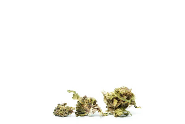 Buds Marijuana dan Cannabis, Legal Pot dan Ganja — Stok Foto
