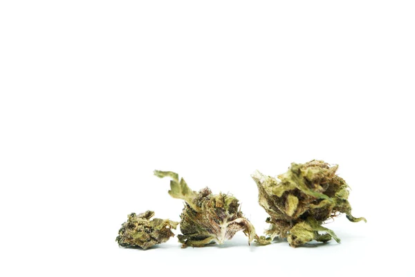 Maconha e Cannabis Buds, maconha e maconha — Fotografia de Stock