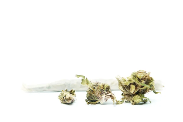 Marihuana i konopi pąki, Pot prawnych i chwastów — Zdjęcie stockowe