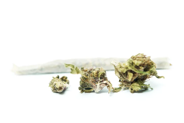 Marihuana y cogollos de cannabis, marihuana legal y hierba — Foto de Stock