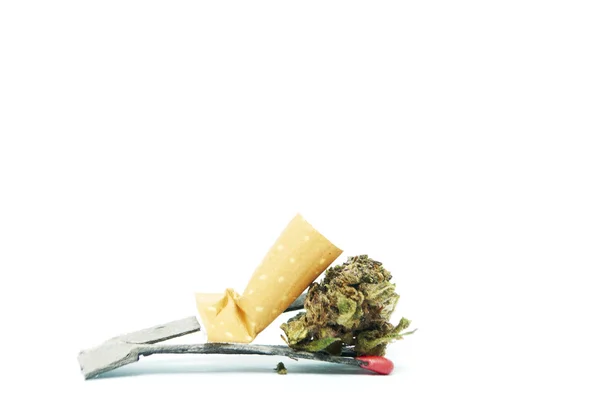 Bourgeons de cannabis et de marijuana, pot légal et mauvaises herbes — Photo