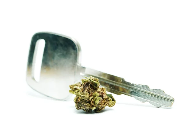 Marijuana and Cannabis Buds, Legal Pot and Weed — Stock Photo, Image