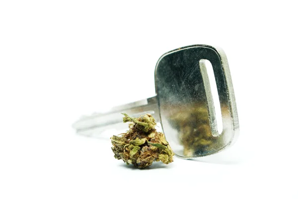Marihuana y cogollos de cannabis, marihuana legal y hierba —  Fotos de Stock